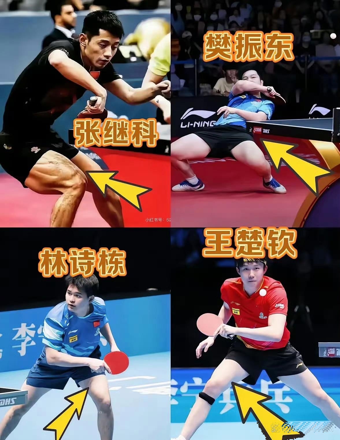 中国乒乓球队绝杀比利时乒乓球队，张继科统治全场