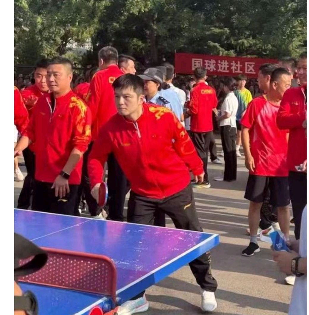 包含波兰乒乓球队鏖战英国乒乓球队，樊振东制霸全场的词条