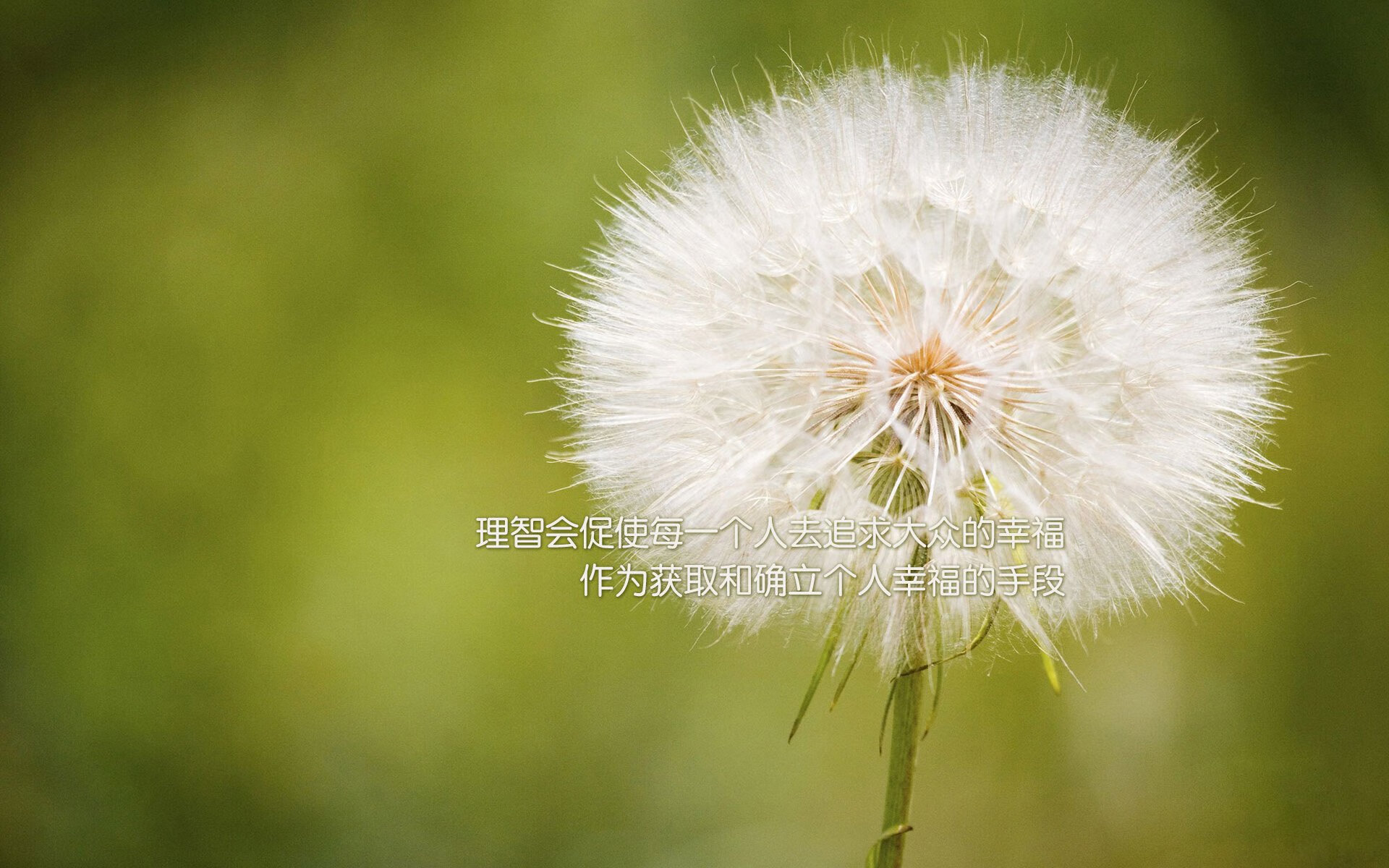 钱塘江潮逆转新奥尔良风云，当杜兰特的关键球响起越剧腔