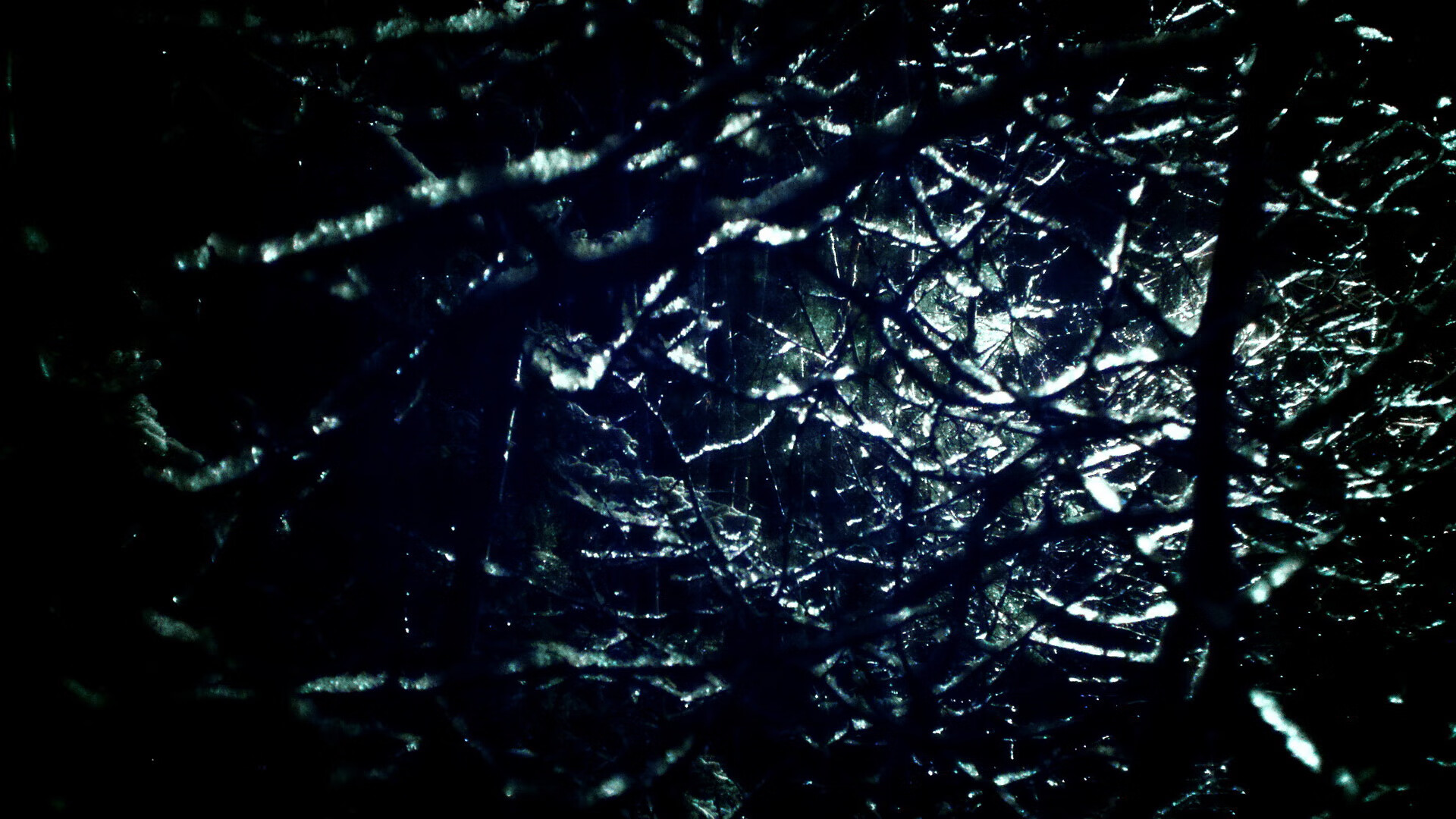 重力与羽毛，一场逆转中的东方启示