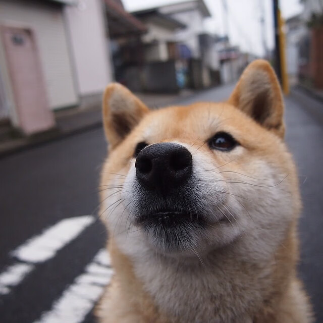 铁血、闪电与孤独的火炬手，当韩国队横扫瑞典，王皓以一肩扛起一座山