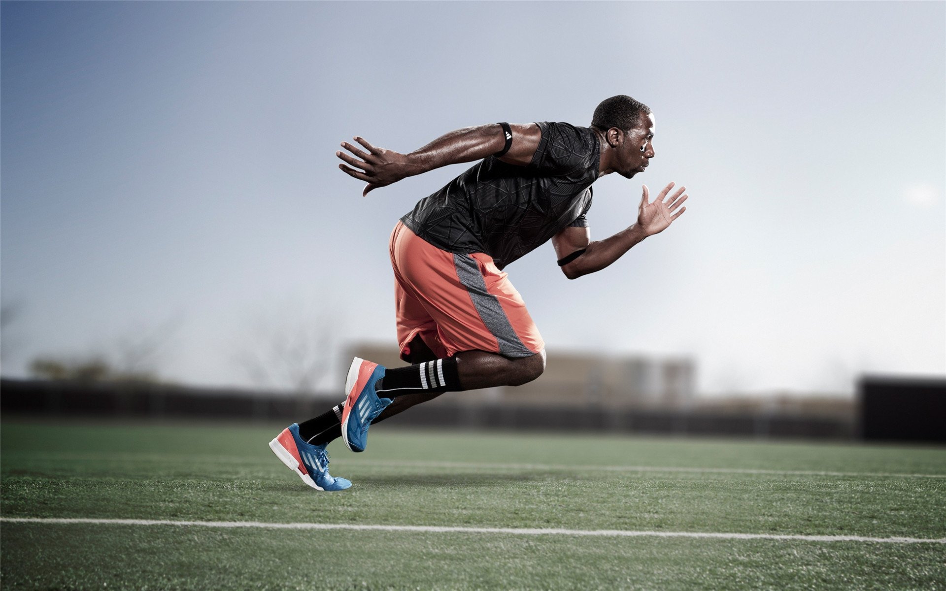 暗室与舞台，蒂姆在ATP总决赛力克的，岂止是美网失意