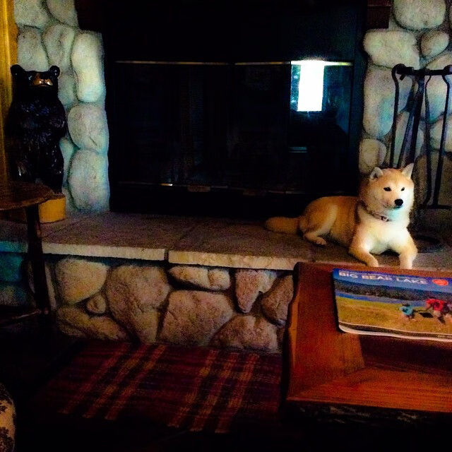 冰火两重天，李梓嘉凤凰涅槃之夜，中国队横扫韩国雪耻奥运