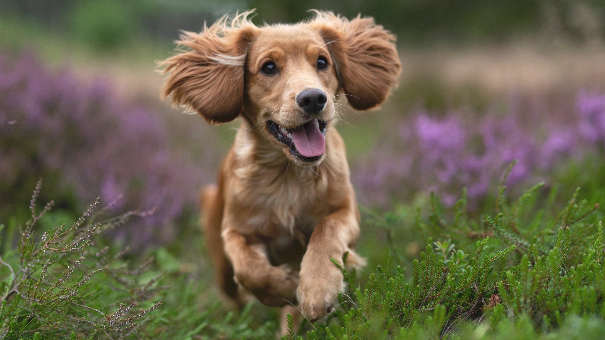 开云APP-指挥官与风暴，恩比德如何以慢制快，在雷霆掘金之役中雕刻时间