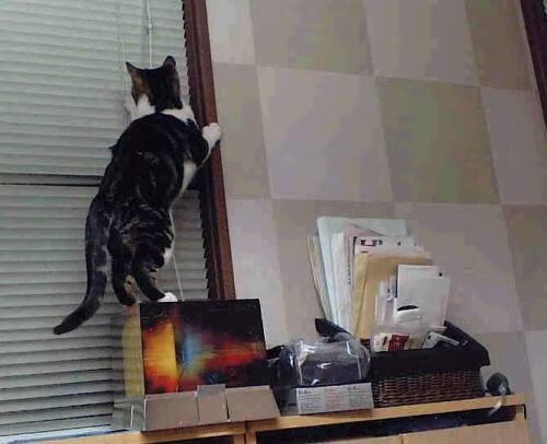 开云体育登录-窒息防守编织胜利囚笼，浓眉化身定海神针，爵士关键先生降下绿凯光环