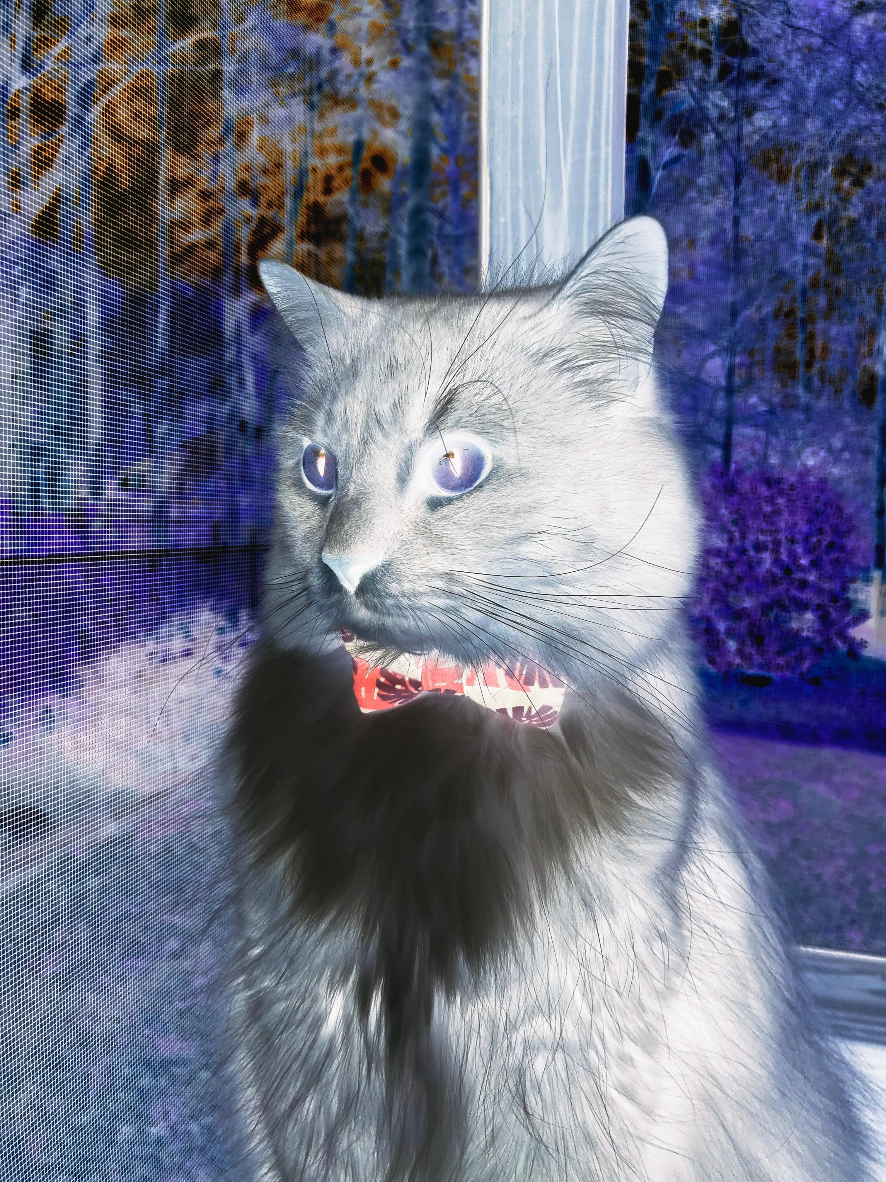 开云体育入口-猛龙撕裂防线，孤胆英雄接管末节，一场冰火交织的比赛