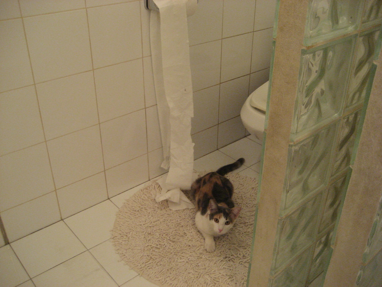 开云体育APP下载-沪上风云对决北境铁壁，当东方魔术遭遇塔图姆时刻