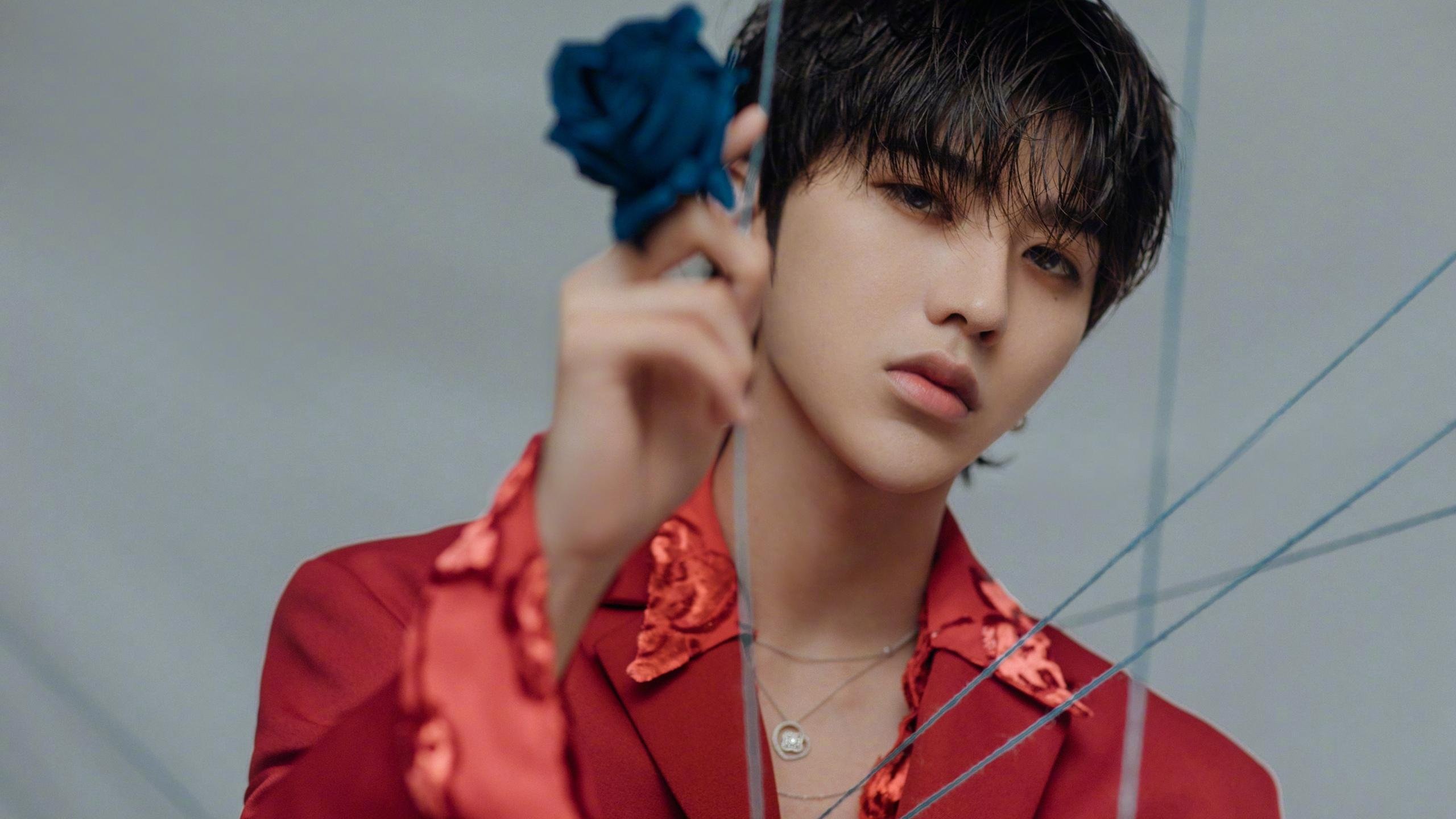 双乔治法则,当猛龙鏖战独行侠的困局,被一位F1车手的争冠方程式解开