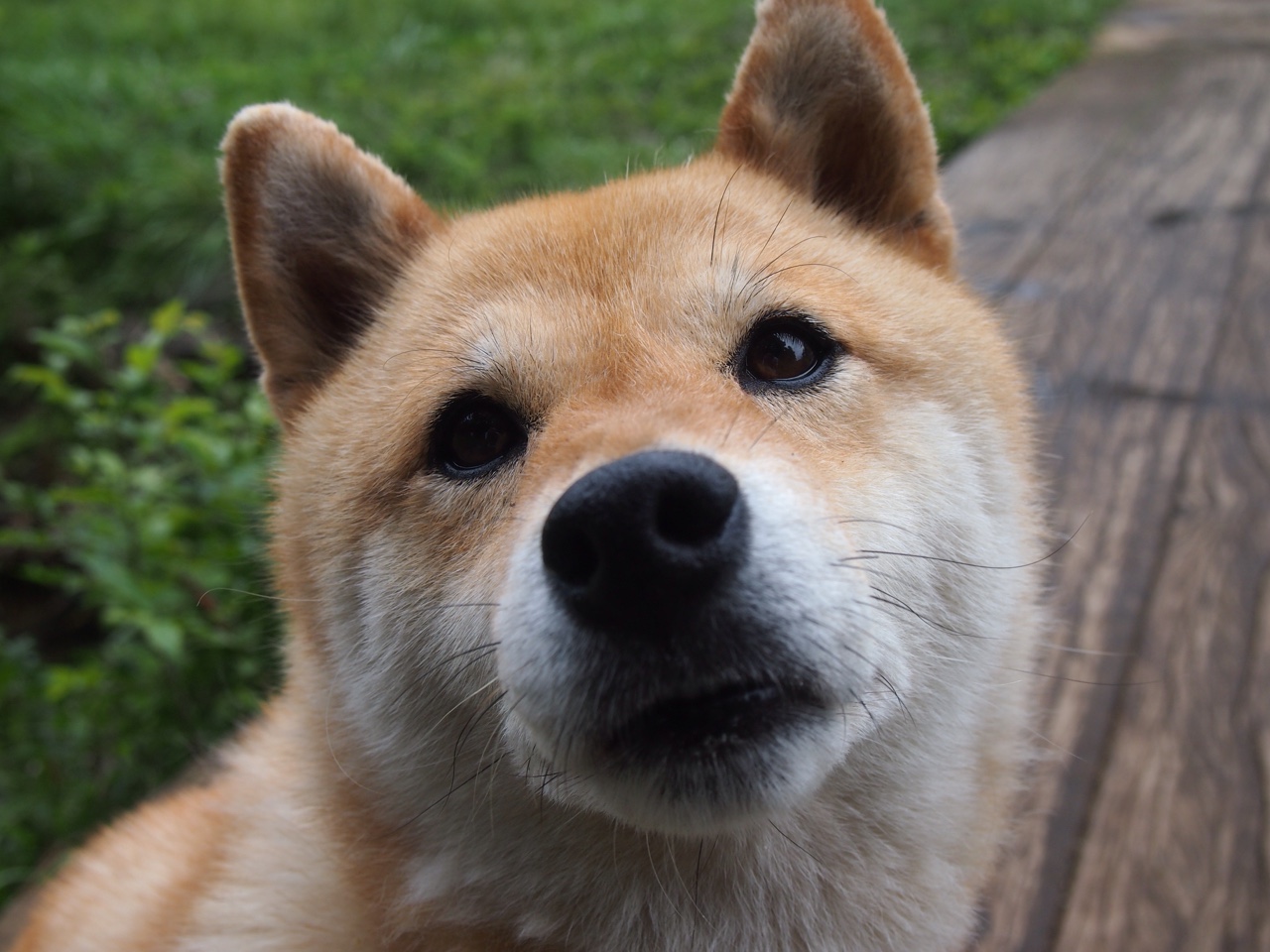 战术博弈中定海神针,尼克斯战术体系全面压制吉林队,保罗化身关键先生