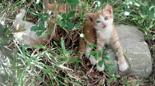 开云-鏖战三晋，惊雷定乾坤—记切特封神之夜