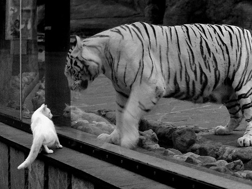 战术巨浪中的精确制导，萨内一剑封喉，曼城正面战场击溃法国铁骑