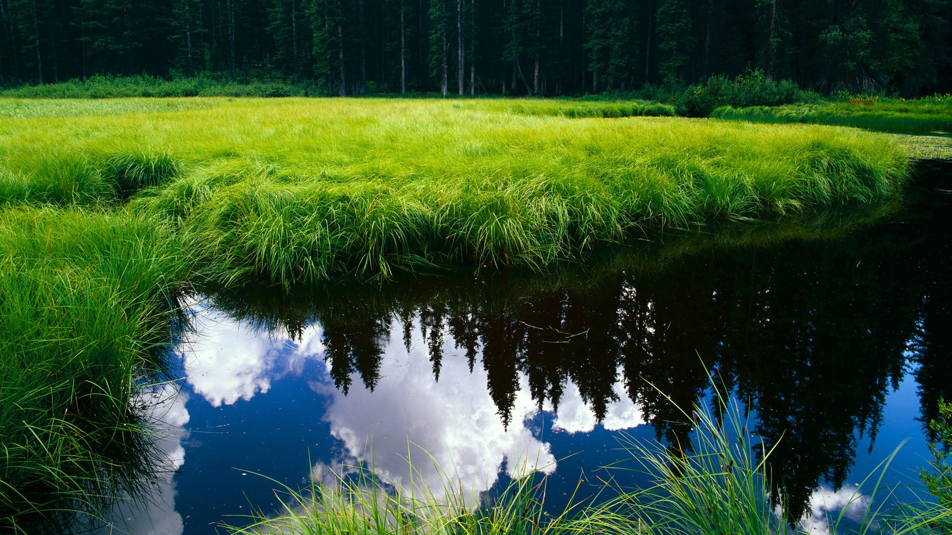 刀刃上的舞蹈,塞内加尔铁蹄收割智利,梅西以天赋编织命运