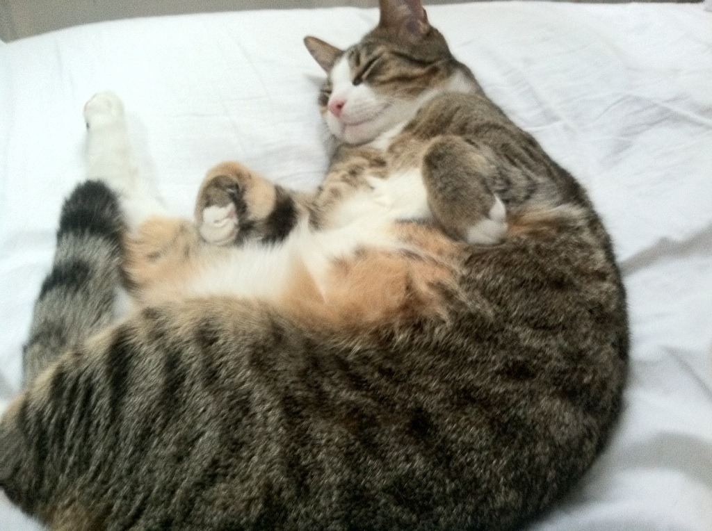 开云官网-缺席的审判官，当杜兰特字母哥的对决被詹姆斯幽灵笼罩