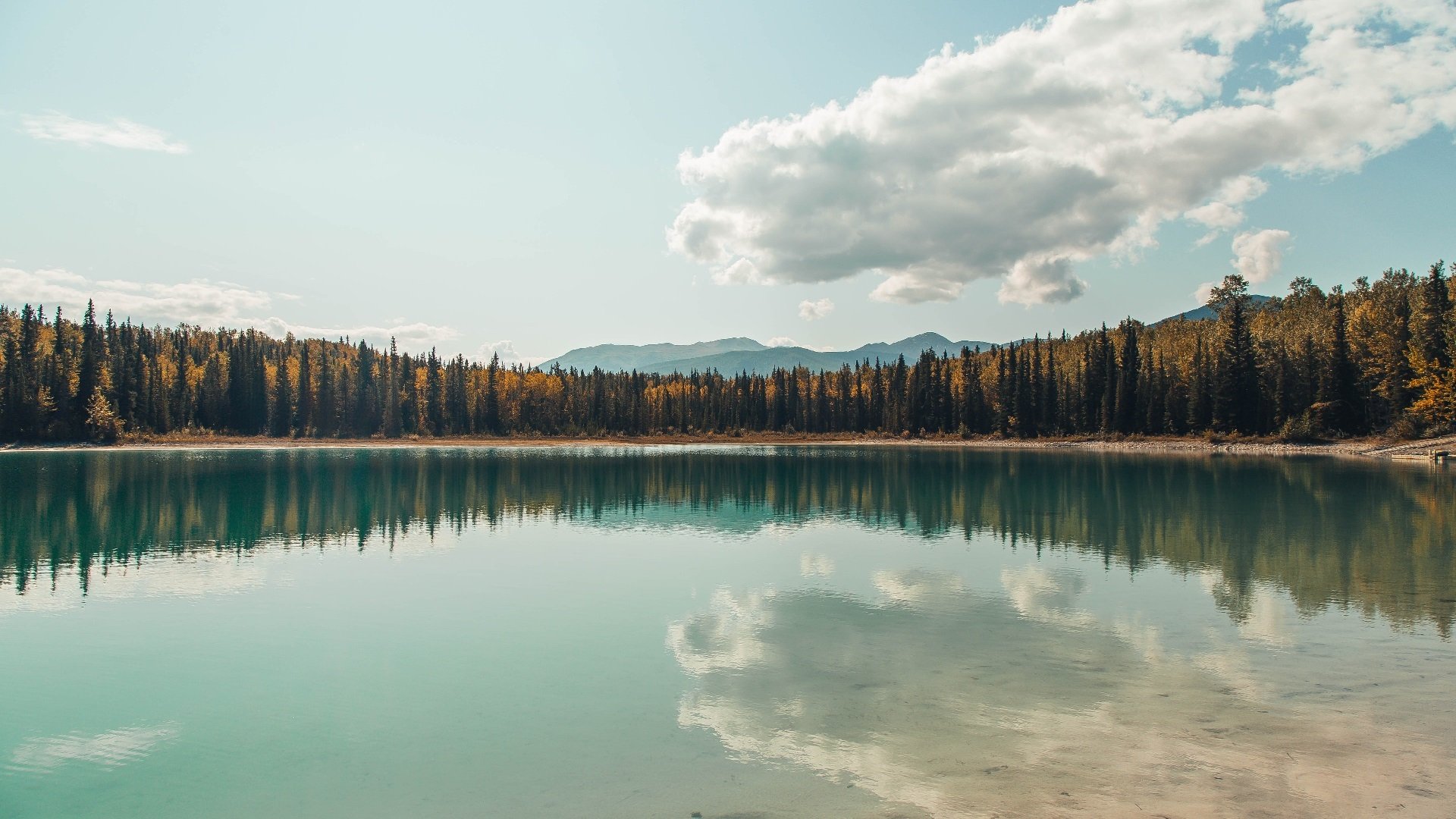 开云官网-掌控力的交响，从霍勒迪的欧冠之夜到灰熊的战术闪电