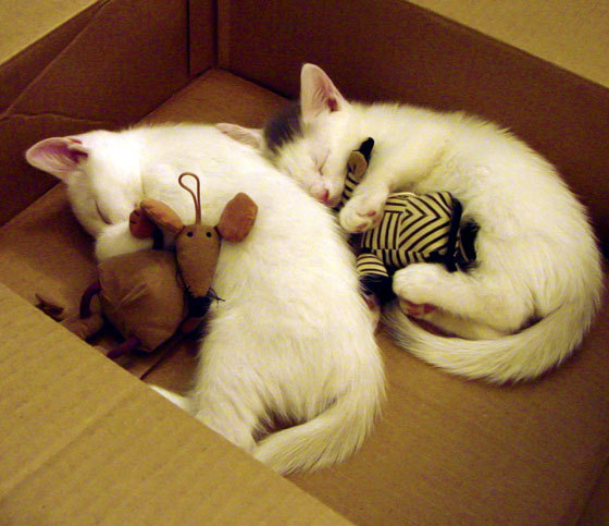 开云sport-王者对冲，在F1街道赛的轰鸣中，莫兰特刺破夜色的一击