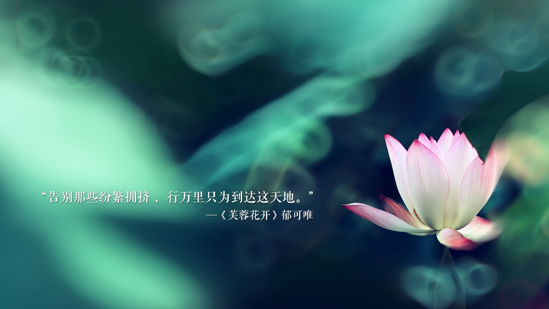 逆转之夜，当西班牙的红色烈焰吞噬哥伦比亚，B费用双脚书写世界杯唯一剧本