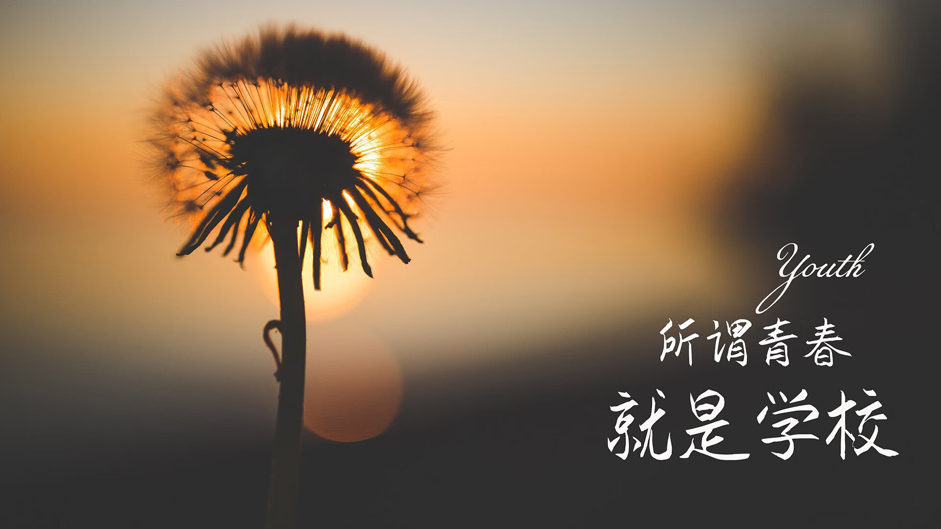 橙衣军团的智慧逆袭,2026世界杯巅峰对决,防守反击奏效,登贝莱一击致命,荷兰险胜泰国