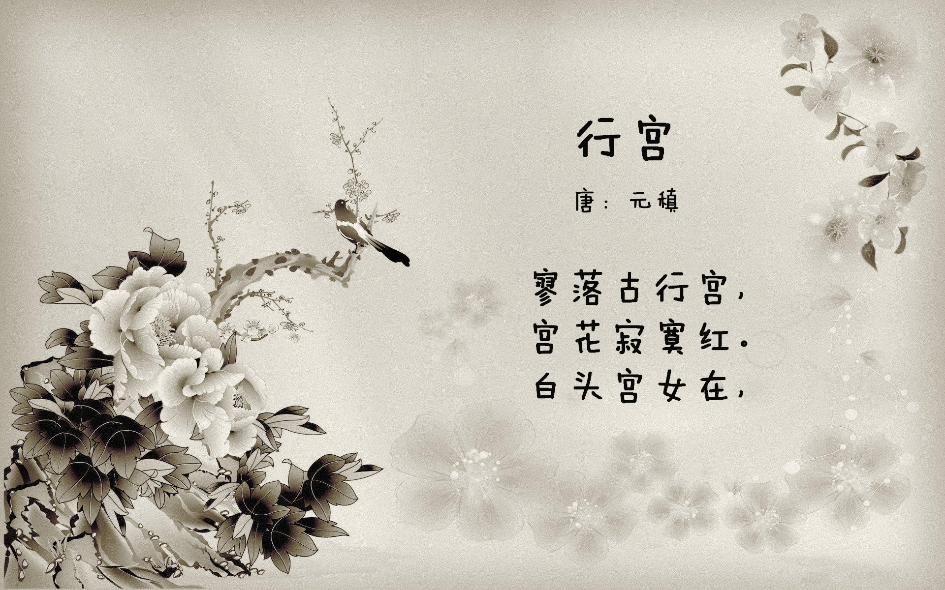 开云下载-宿命之巅，2026世界杯D组焦点战，厄瓜多尔高地战术压制罗马尼亚，奥斯梅恩独舞成王