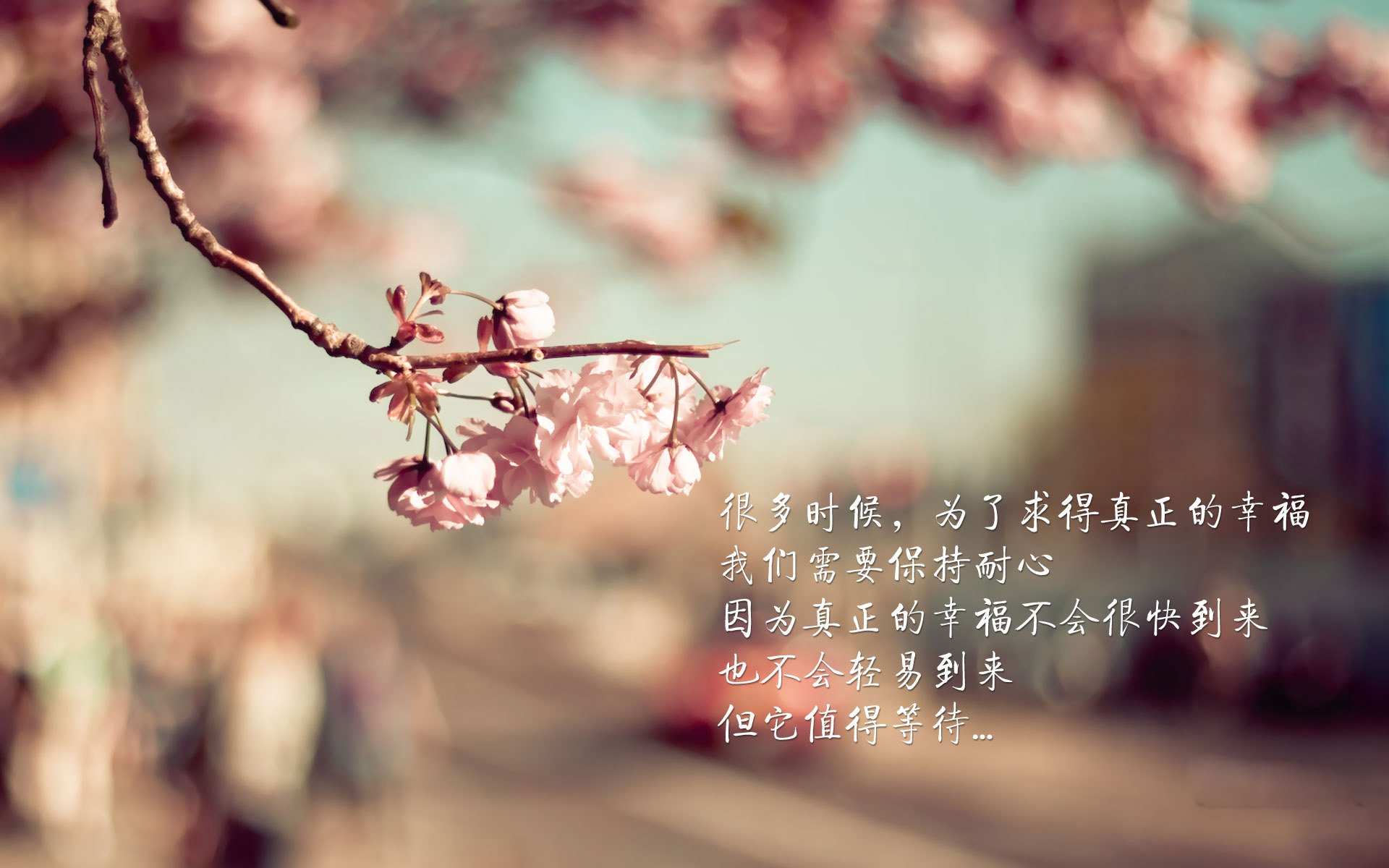 致命一击定乾坤，临场变阵显神威，比利时绝杀泰国锁定F组出线权