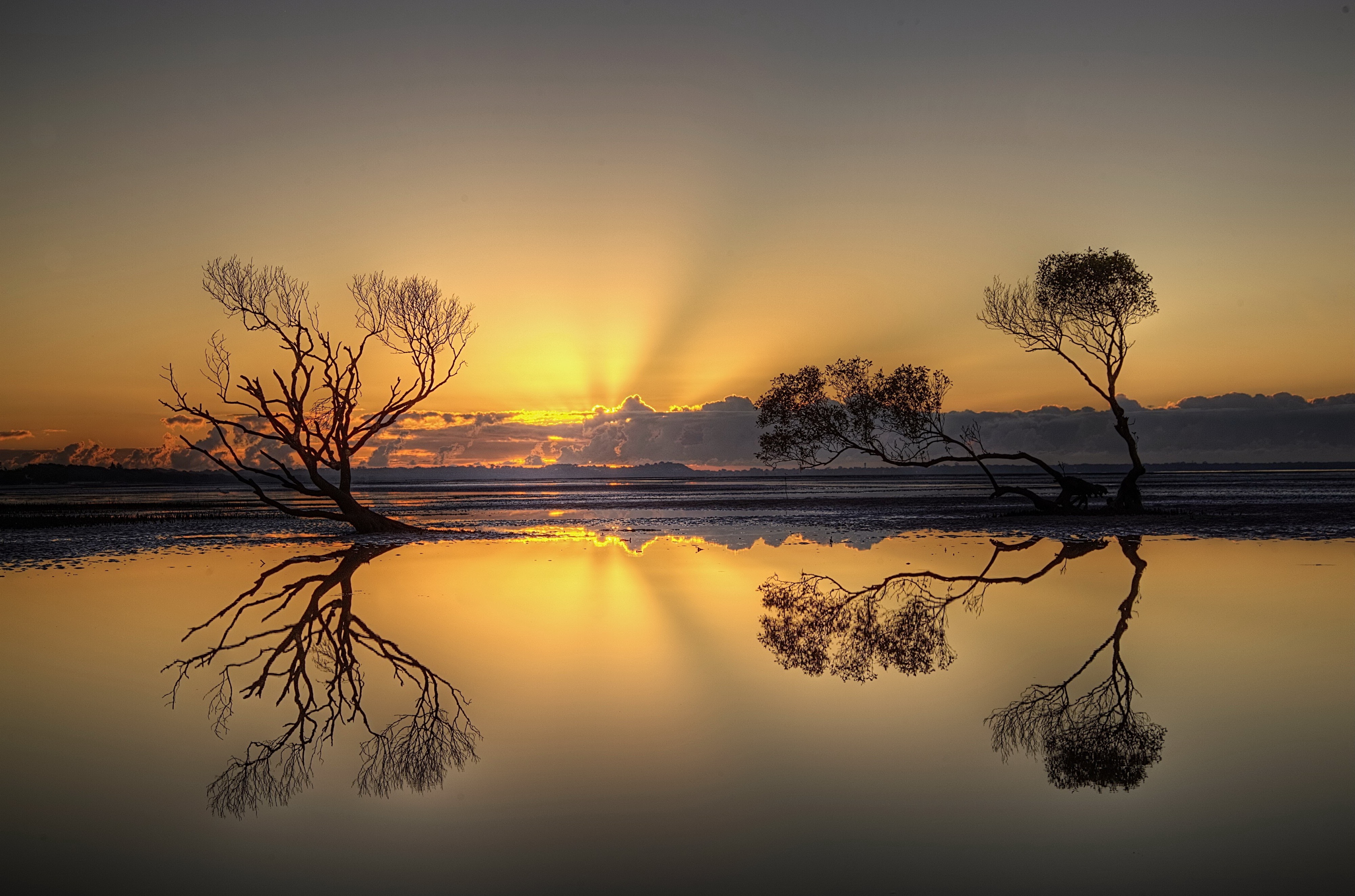 蓝白军团的黄昏，红白战车的黎明，波兰用战术铁蹄踏碎乌拉圭，坎塞洛一役封神